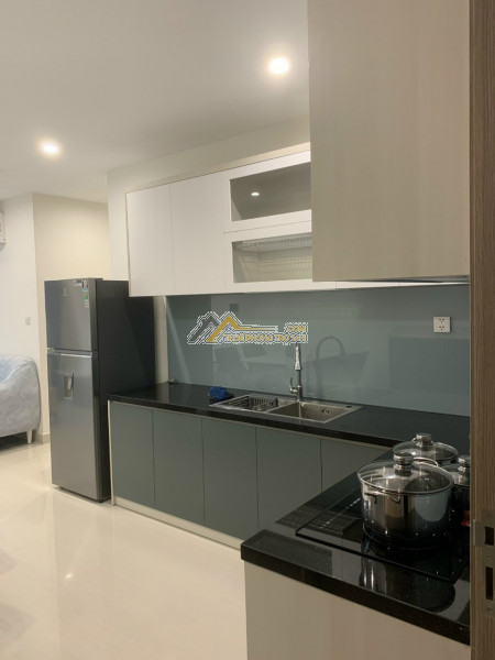 Cty chuyên cho thuê hơn 1000 căn: stu - 1pn, 2pn, 3pn shophouse