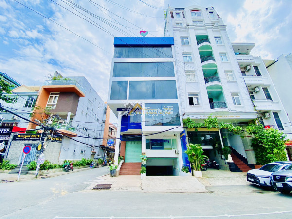 Sang nhượng trang trại bò 37 năm, 660ha, 45 tỷ